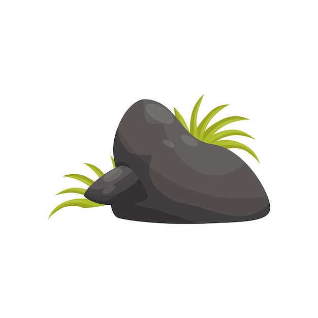 Ilustración vectorial de un paisaje de selva tropical en una piedra lisa negra con elemento de hierba en un blanco