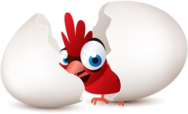 Vector ilustración vectorial de un pájaro bebé rojo eclosionando de un huevo
