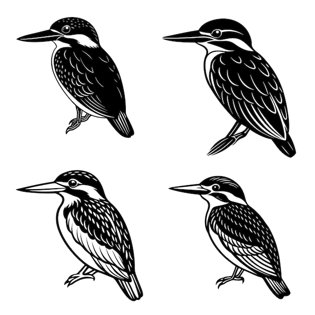 Ilustración vectorial del pájaro pescador
