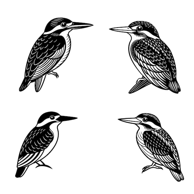 Ilustración vectorial del pájaro pescador