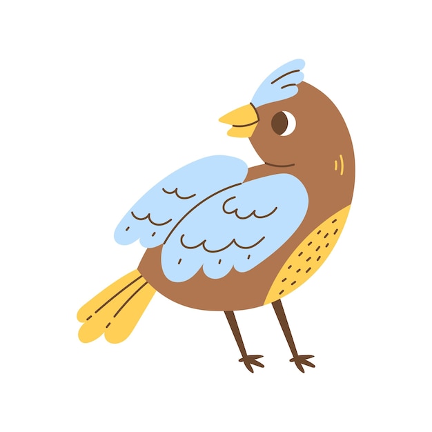 Ilustración vectorial de pájaros salvajes coloridos Pose de pájaro cantor dibujado a mano con alas arte de diseño plano
