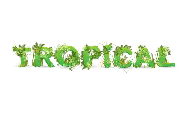 Vector ilustración vectorial de la palabra tropical estilizada como una selva tropical, con ramas verdes