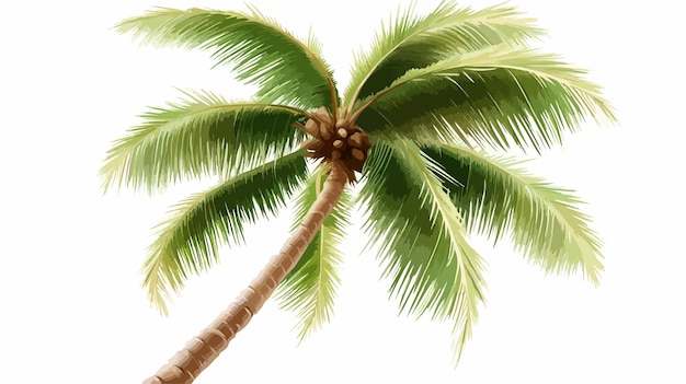 Ilustración vectorial de la palmera de coco tropical para diseños de verano