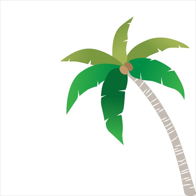 Ilustración vectorial de la palmera de coco tropical