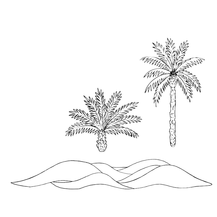 Vector ilustración vectorial de palmeras y dunas de arena del paisaje esbozo de postre de estilo de línea simple
