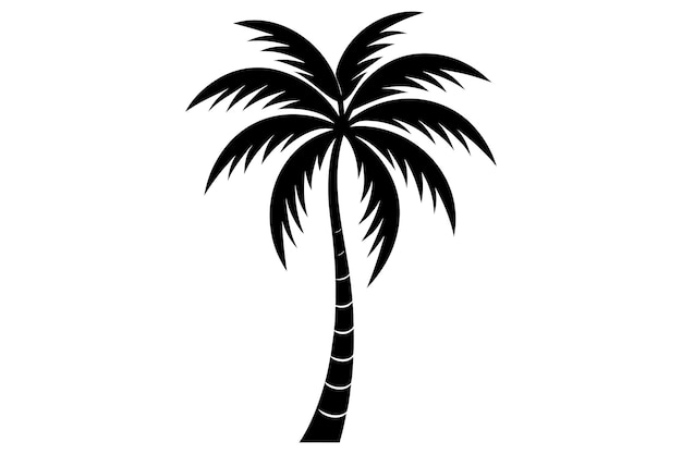 Ilustración vectorial de palmeras o cocoteros en un fondo blanco