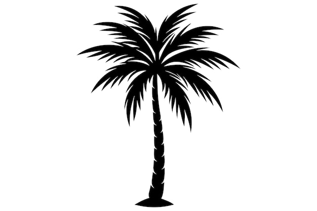 Ilustración vectorial de palmeras o cocoteros en un fondo blanco