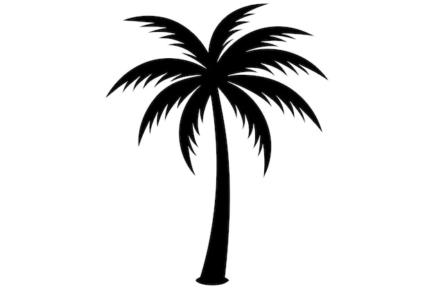 Ilustración vectorial de palmeras o cocoteros en un fondo blanco