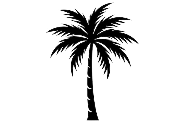 Ilustración vectorial de palmeras o cocoteros en un fondo blanco