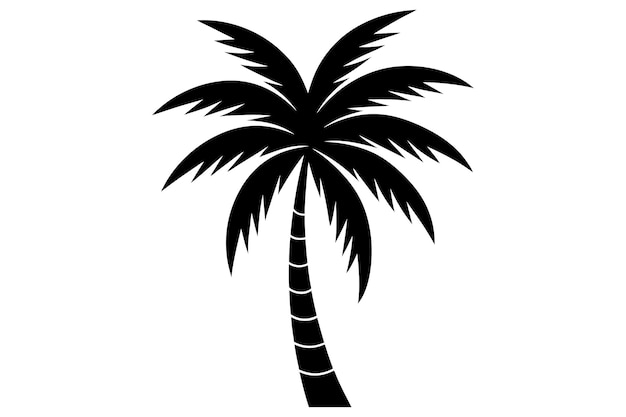 Ilustración vectorial de palmeras o cocoteros en un fondo blanco