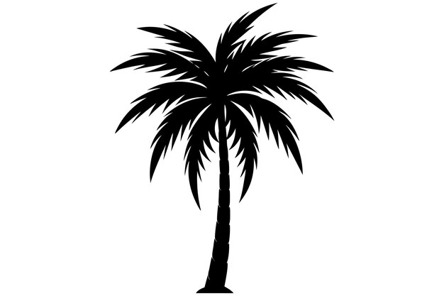 Ilustración vectorial de palmeras o cocoteros en un fondo blanco