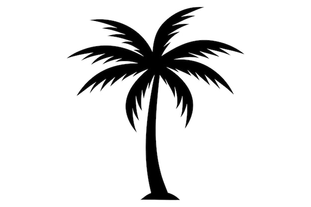 Ilustración vectorial de palmeras o cocoteros en un fondo blanco