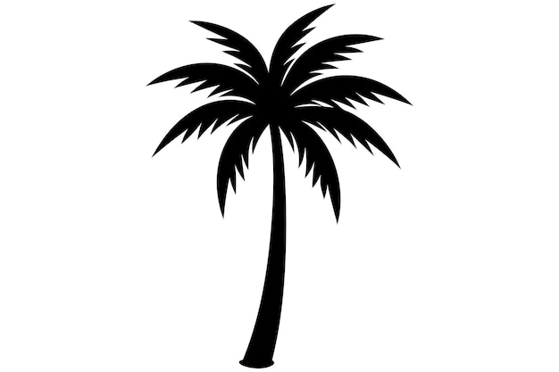 Ilustración vectorial de palmeras o cocoteros en un fondo blanco