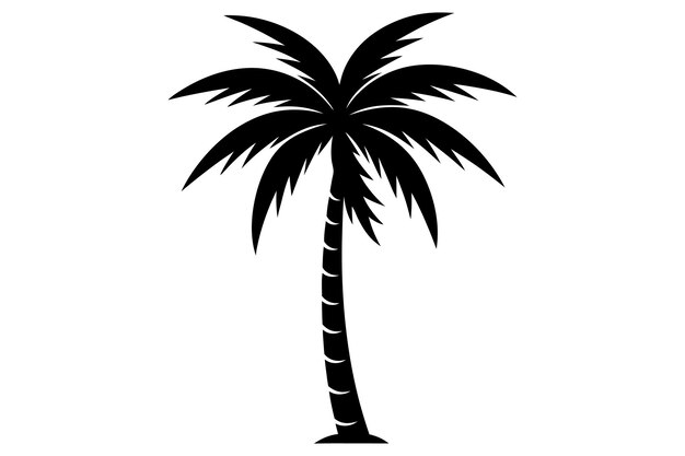 Ilustración vectorial de palmeras o cocoteros en un fondo blanco