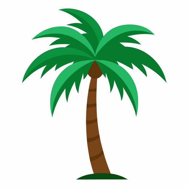 Ilustración vectorial de las palmeras tropicales