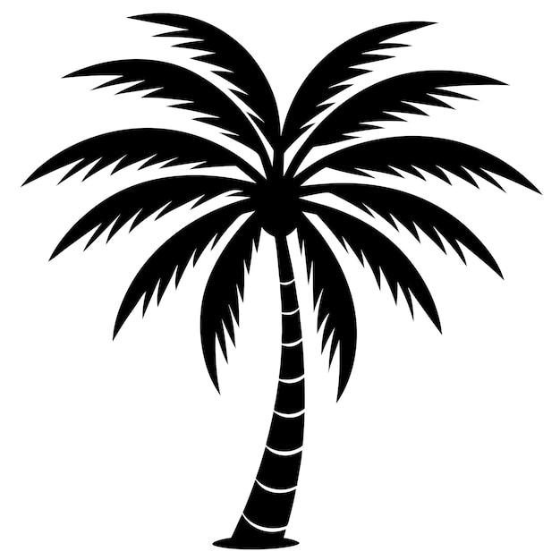 Ilustración vectorial de las palmeras