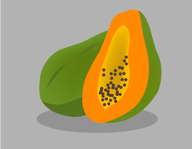 Ilustración vectorial de papaya fresca amarilla madura
