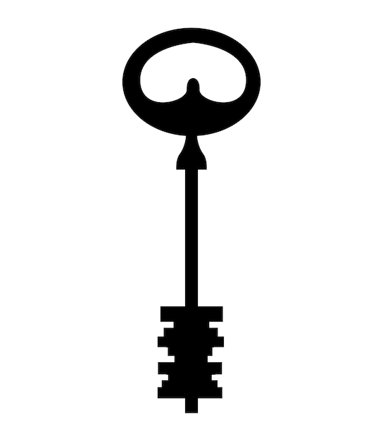 Vector ilustración vectorial del paquete de llaves y candados