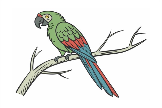 Ilustración vectorial de Parrot Line Art