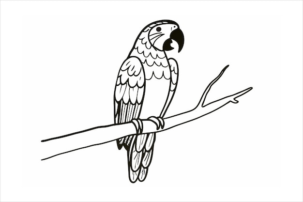 Ilustración vectorial de Parrot Line Art