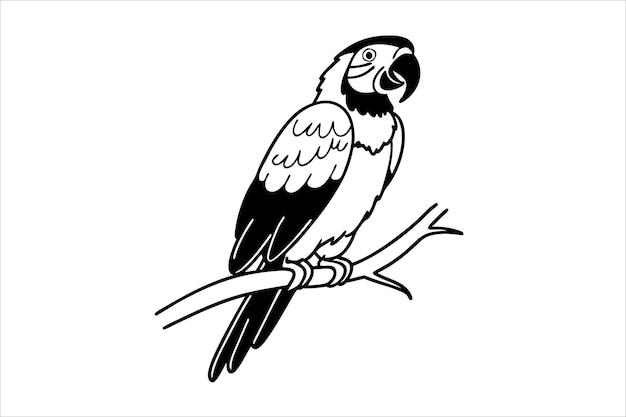 Ilustración vectorial de Parrot Line Art