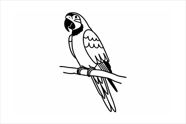 Ilustración vectorial de Parrot Line Art