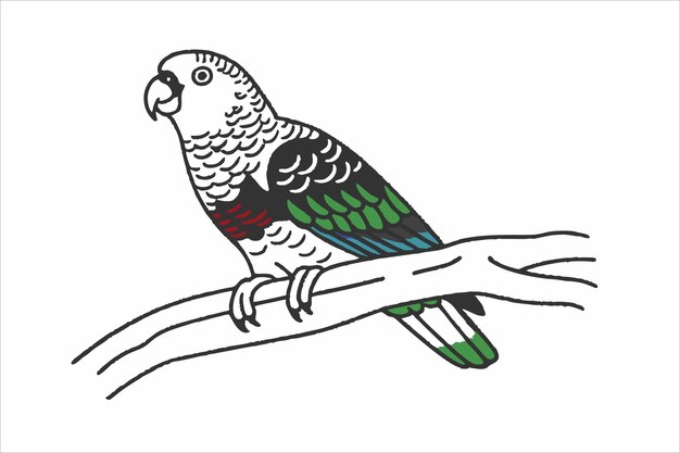 Ilustración vectorial de Parrot Line Art