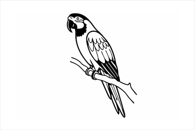 Ilustración vectorial de Parrot Line Art