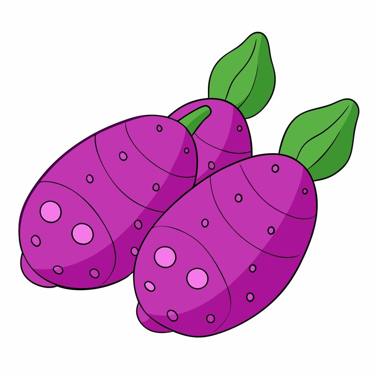Vector ilustración vectorial de la patata