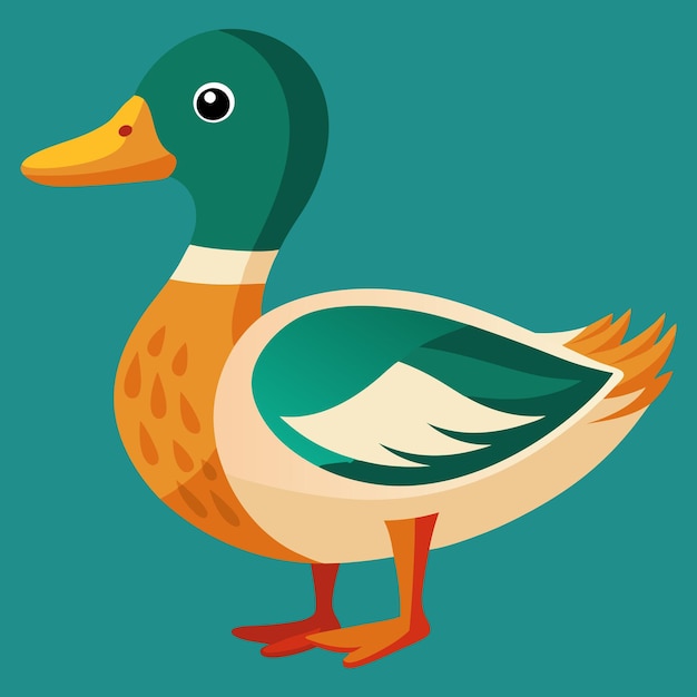 Ilustración vectorial de pato de madera Patos Drake y gallina aislados sobre un fondo blanco