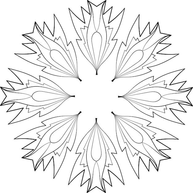 Ilustración vectorial patrón de mandala decorativo