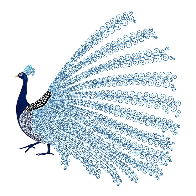Ilustración vectorial de pavo real abstracto decorativo estilizado con cola exuberante aislada