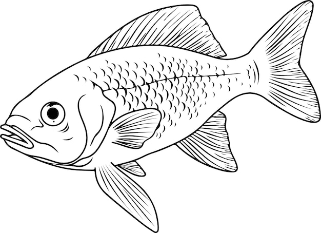 Ilustración vectorial de peces Libro para colorear de animales marinos o página para niños