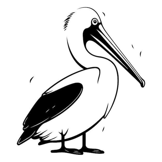 Ilustración vectorial de pelícano Pelícano de dibujos animados aislado sobre fondo blanco