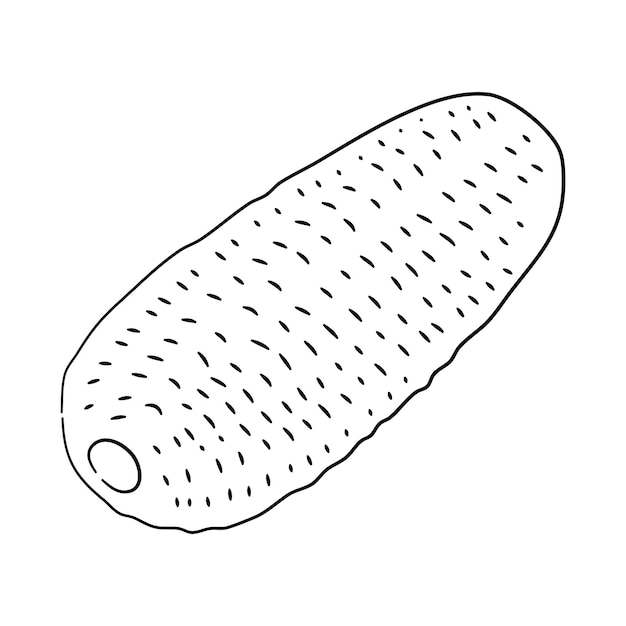 Ilustración vectorial de un pepino en estilo de boceto negro dibujado a mano Icono de Doodle