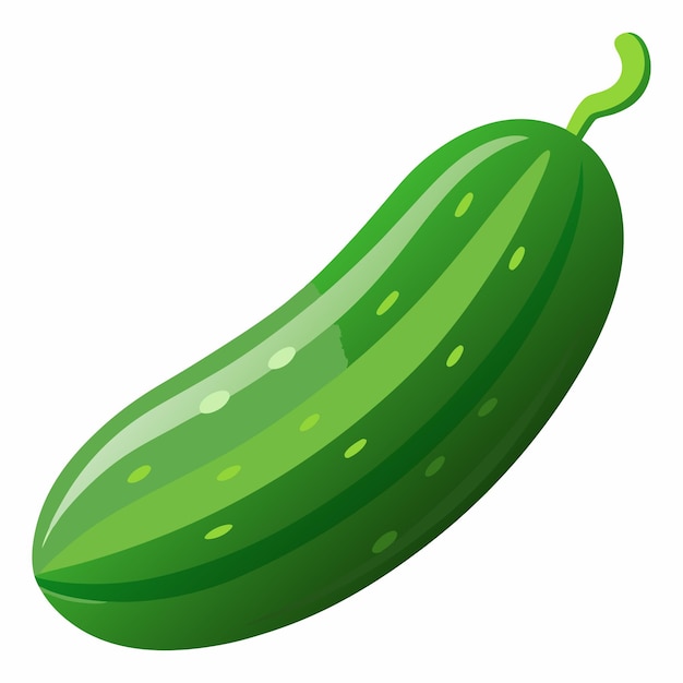 Ilustración vectorial de pepino