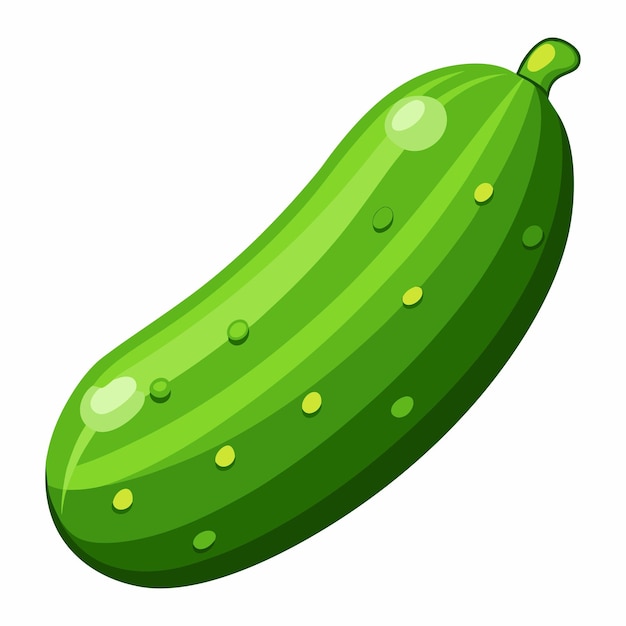 Ilustración vectorial de pepino