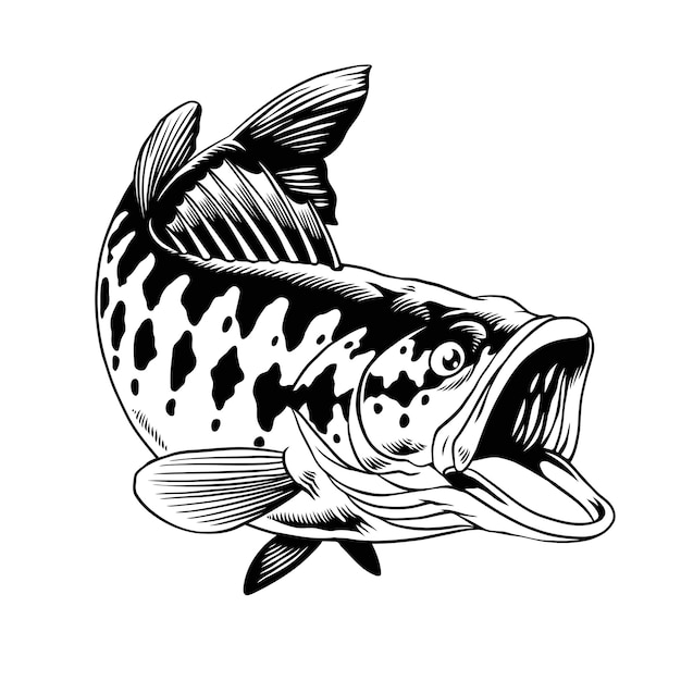 Ilustración vectorial de pescado de boca grande aislado