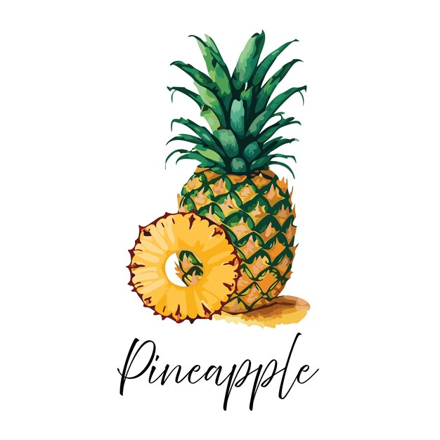 Ilustración vectorial de piña y anillo de piña