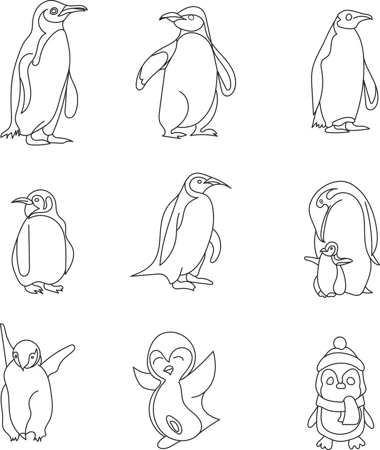 Ilustración vectorial de pingüino para libro para colorear o página para libro infantil