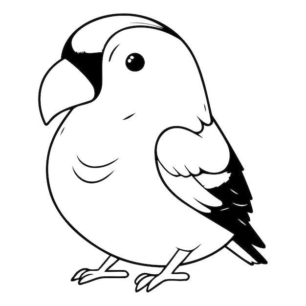 Ilustración vectorial del pinzón pinzón de dibujos animados