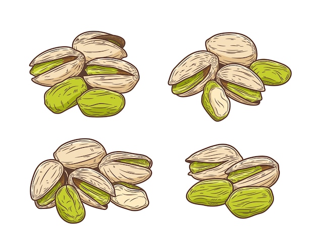 Ilustración vectorial de pistachos