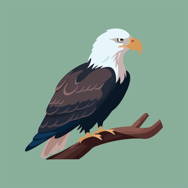 Vector ilustración vectorial plana del águila calva 14