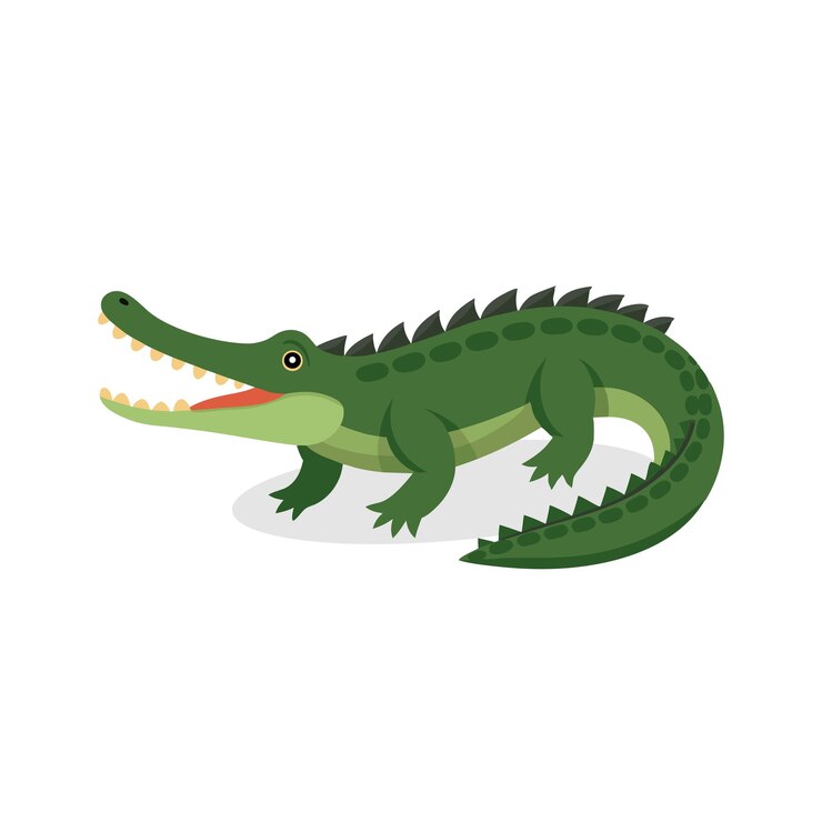 Vector ilustración vectorial plana aislada de un animal de cocodrilo de agua salada sobre un fondo blanco