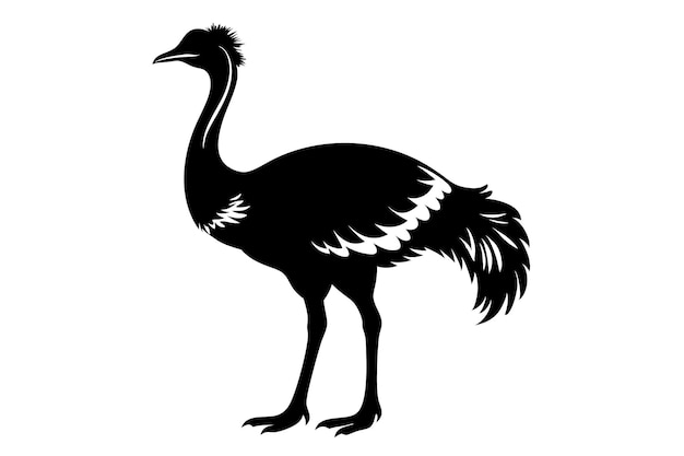 Ilustración vectorial plana aislada del animal Rhea en blanco y negro
