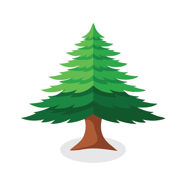 Ilustración vectorial plana aislada del árbol de cedro en fondo blanco
