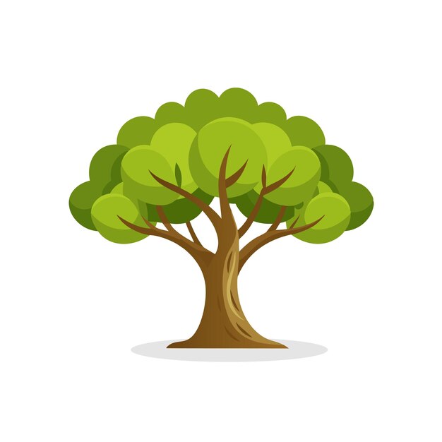 Ilustración vectorial plana aislada de árbol de olivo en fondo blanco