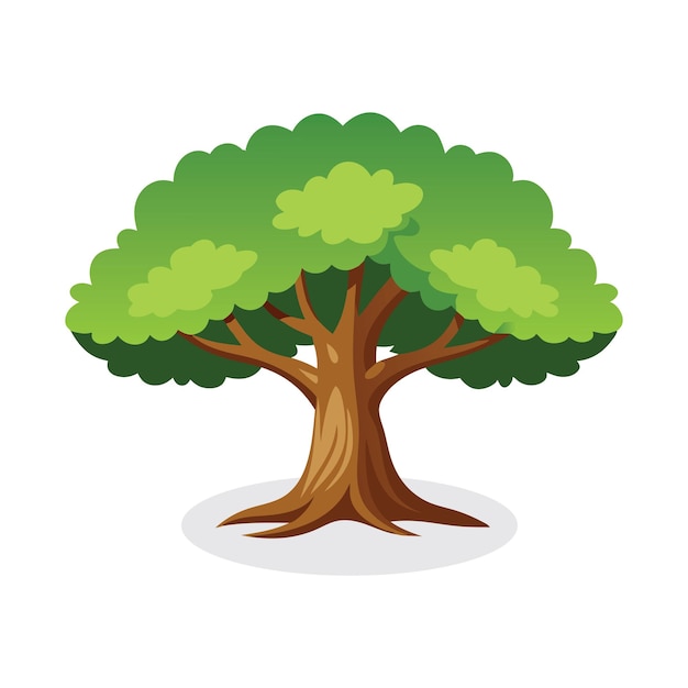 Ilustración vectorial plana aislada de árbol de roble en fondo blanco