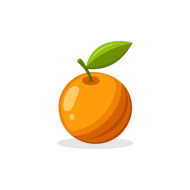 Ilustración vectorial plana aislada de la fruta de kumquat en fondo blanco