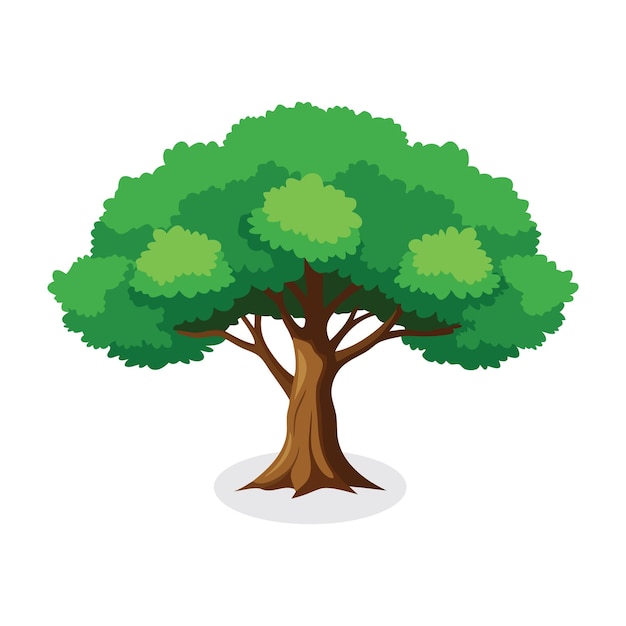 Ilustración vectorial plana aislada del olmo en fondo blanco